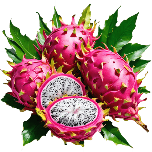 میوه و تره بار LONDON